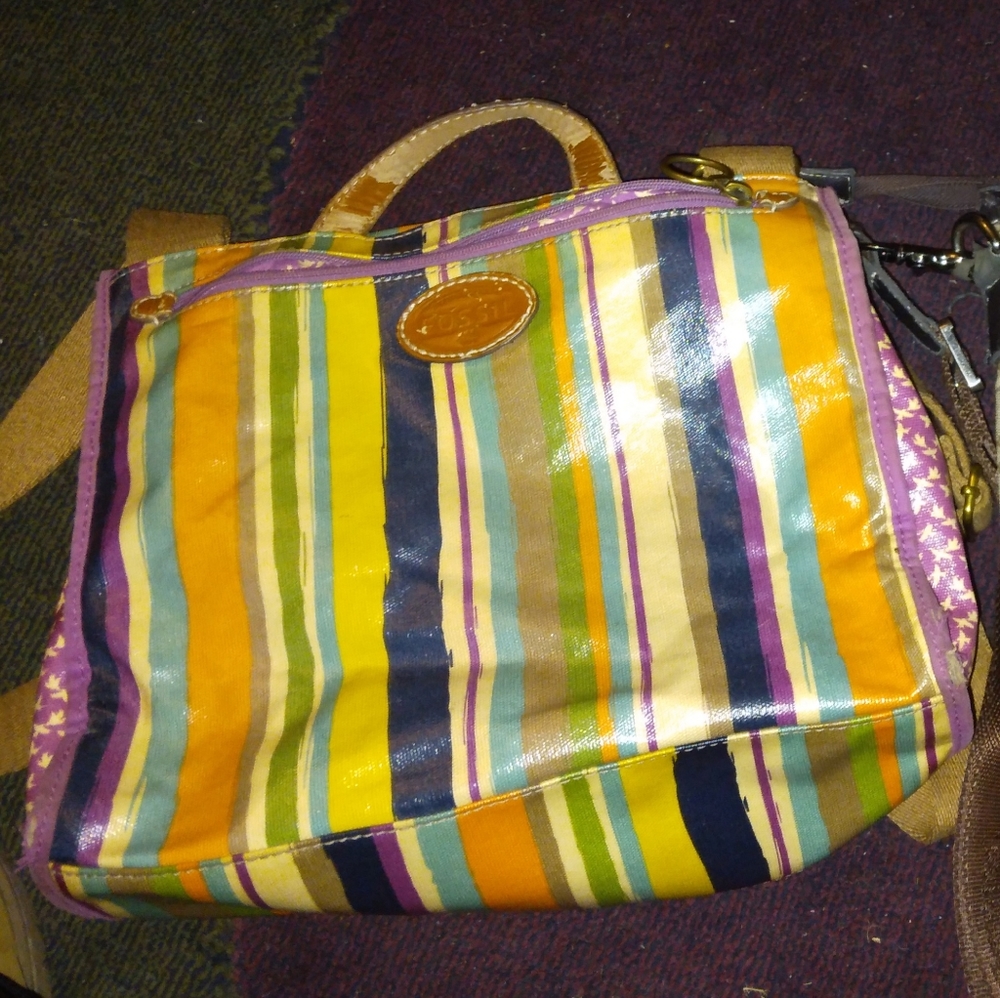 Fossil purse